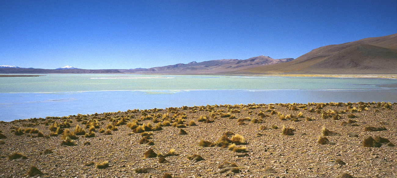 chi_7_15 laguna_salada pano.jpg - Sud Lipez - lagunes laguna Salada laguna Salada, superposition de bleu et de vert due à des minéraux